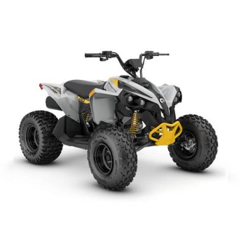 Can-Am Renegade 110 EFI '23