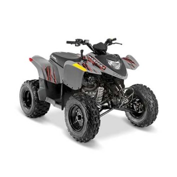 Polaris Phoenix 200